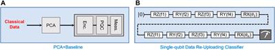 QNet: A Scalable and Noise-Resilient Quantum Neural Network Architecture for Noisy Intermediate-Scale Quantum Computers